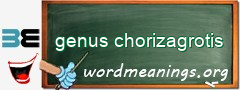 WordMeaning blackboard for genus chorizagrotis